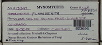 Image Associated With the Occurence